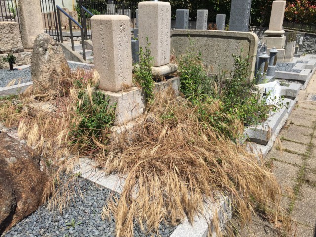 郡家墓地にて雑草対策の固まる土 兵庫 神戸のお墓なら 60年の実績 明確な価格表示の池尻石材